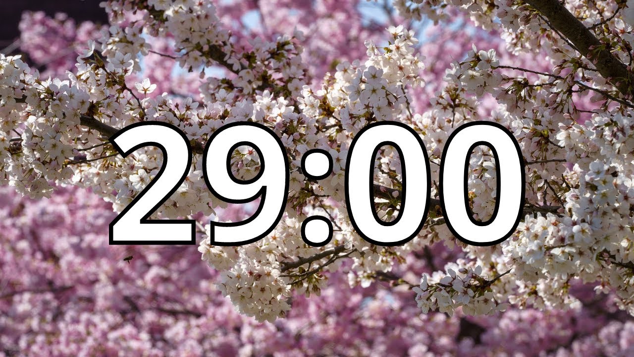 29 Minutes Timer with Music | Cherry Blossom Timer