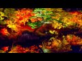 サン サーンス 交響詩 死の舞踏 Camille Saint Saens Danse Macabre In G Minor Op 40 ナクソス クラシック キュレーション カッコイイ サン サーンス 交響詩 死の舞踏 Camille Saint Saens Danse Macabre In G Minor Op 40 ナクソス クラシック キュレーション カッコイイ