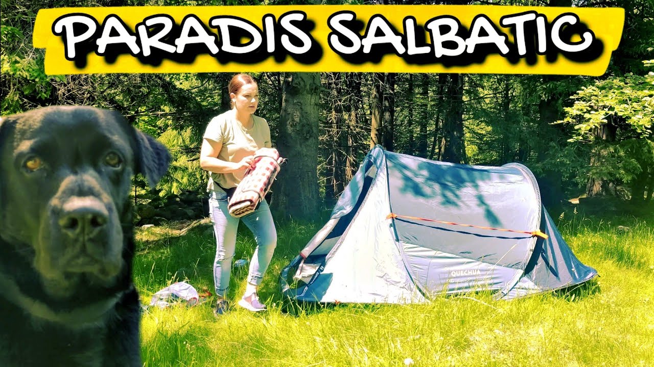 Paradisul Sălbatic din Munții Retezat. Baie rece, plajă și grătar stropit cu vin