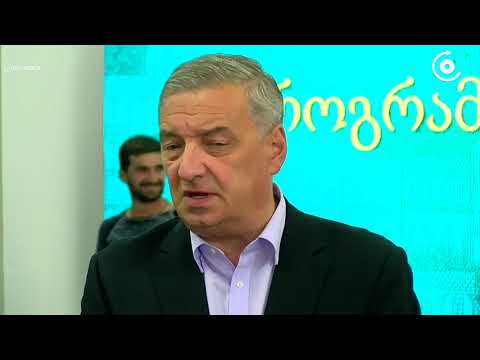 “არ გამოვრიცხავ, რომ უახლოეს პერიოდში ახალი ინიციატივით შემოვალთ იმ შესწორებების გათვალისწინებით, რო