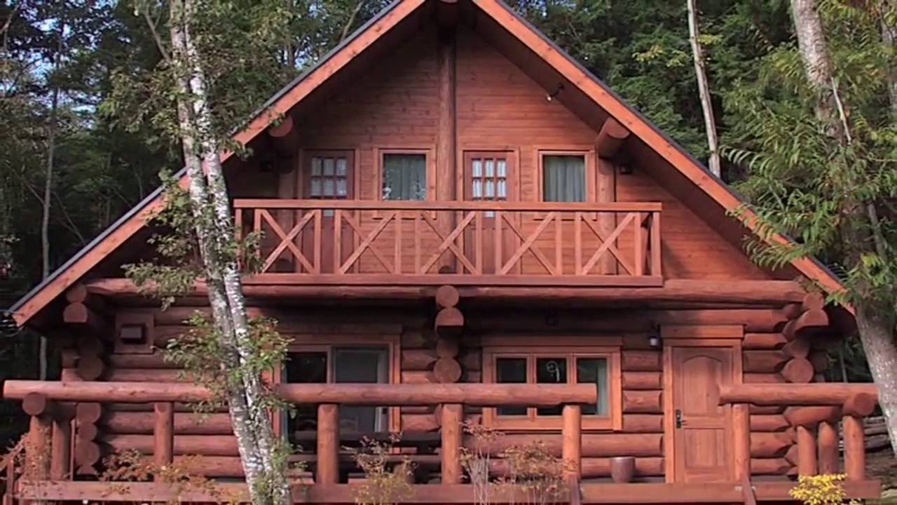 よくわかるログハウス―まるごと自然素材の家の、暮らしと建て方がわかる本 (CHIKYU-MARU MOOK) ログ小屋 CUBEキューブ #DIY で作る#ログハウス 何に使う？ #お