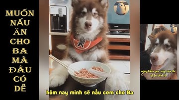 Người anh em cùng cha khác ông nội của Hà Sĩ Kỳ