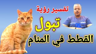 تفسير حلم رؤية قطه تتبول في المنام / أبوزيد الفتيحي