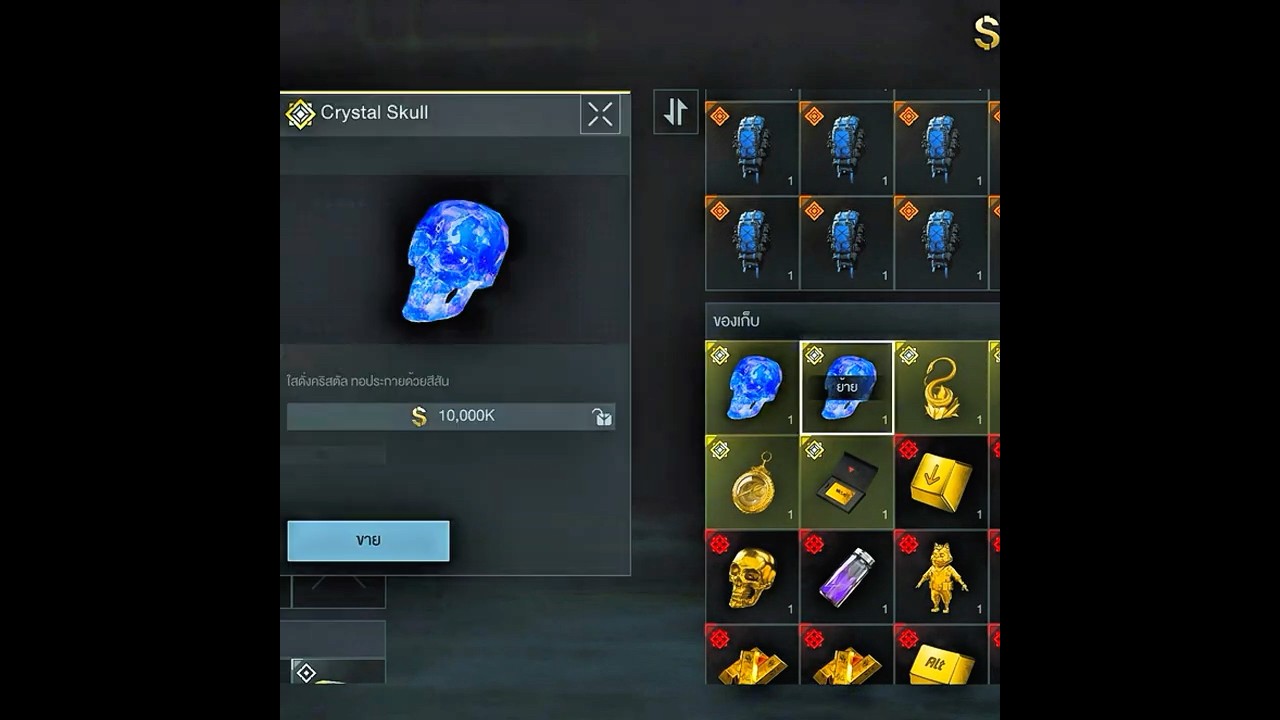 DMZ : RECON Random Loot Crate Receive Two Crystal Skull 💀