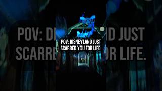 POV: Disneyland is about to scar you for life 😂 #disneylandattractions  #mememonday