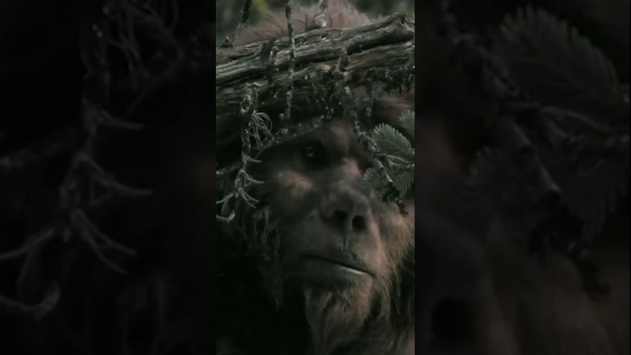 Видеоролик содержит кадры с настоящим Бигфутом. Полная версия доступна на YouTube. 