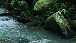 Embrace Brook Peace: Gentle Water for Tranquility