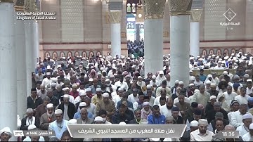أواخر سورة الحجر : ٨٥ - لآخرها | صلاة مغرب ٢٨ شعبان ١٤٤٦ هـ | فضيلة الشيخ أ.د.محمد برهجي