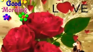 Good Morning Whatsapp Animation Video New, Gif Video for Whatsapp, Greetings.