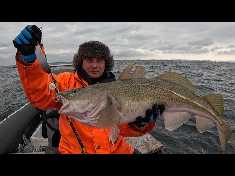 Видео: ВЕСЕННЯЯ РЫБАЛКА В БАРЕНЦЕВОМ МОРЕ  2024 / SPRING FISHING IN THE BARENTS SEA