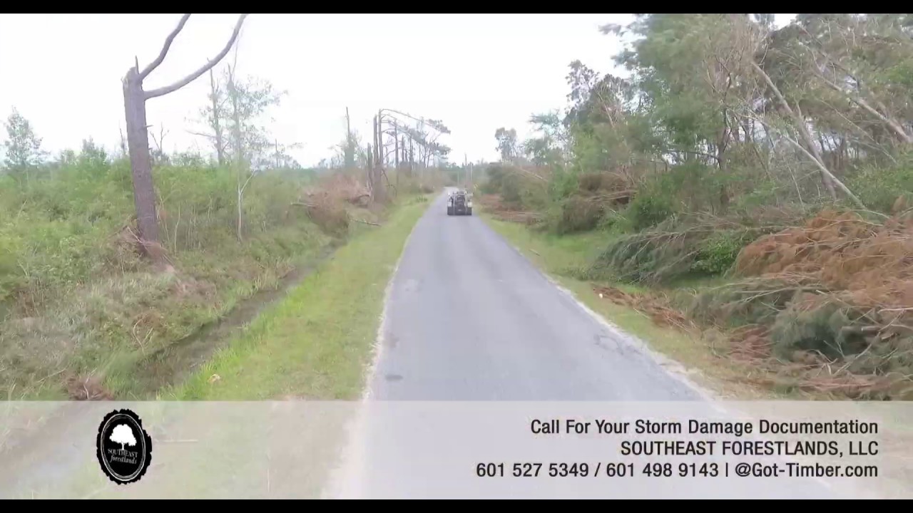 Storm Damage Documentation: Post Storm Inspection - YouTube
