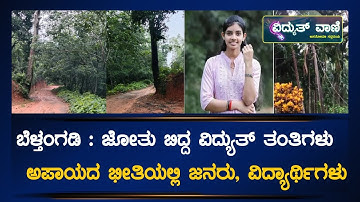 MESCOM : ಜೋತು ಬಿದ್ದ ವಿದ್ಯುತ್ ತಂತಿಗಳು  ಅಪಾಯದ ಭೀತಿಯಲ್ಲಿ ಜನರು ವಿದ್ಯಾರ್ಥಿಗಳು.! |@vidyuthvaani