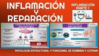 INFLAMACIÓN Y REPARACIÓN PATOLOGÍA ROBBINS | GuiaMed