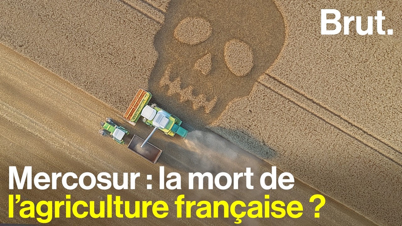 L'accord commercial qui divise la France : Mercosur