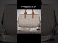Valentino Monogram Carryall Tote