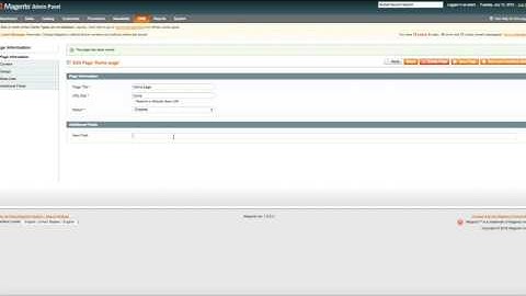 Easily Add Custom Fields To Your CMS Pages in Magento