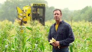 Tractorlife Com Schaeffers Specialized Lubricants Hd