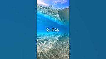 واتس اب قران كريم القارئ عبدالرحمن العوسي من سورة (الحاقة)