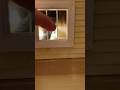 Anybody home? #cat #dollhouse #nonsense