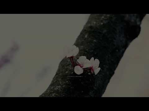 كل هم قد ك ب روا أهل نا والزه ر