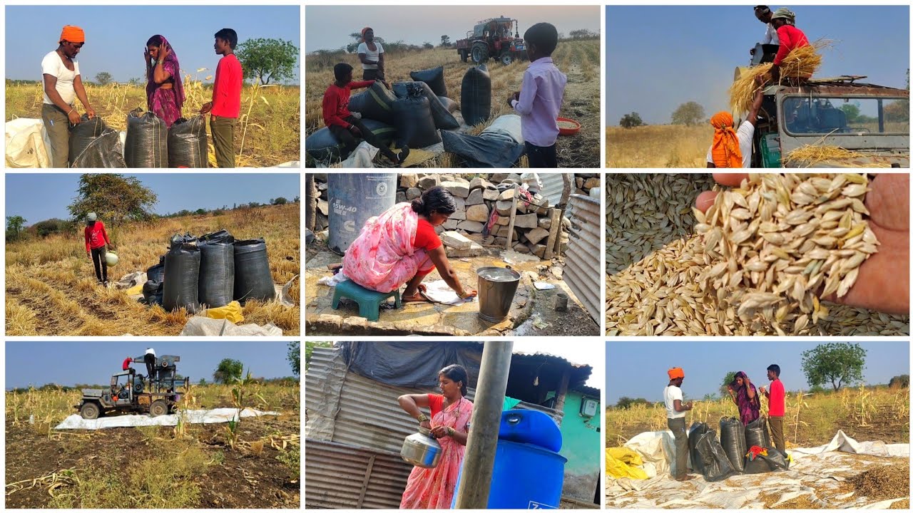 🤦🌾 ರೈತರು ಹೊಲದಲ್ಲಿ ಎಷ್ಟು ಕಷ್ಟಪಟ್ಟು ದುಡಿದರು ಒಂದು ವರ್ಷದ ಬೆಳೆ ಬೆಳೆದಿರುವುದು ಎಷ್ಟು ನೋಡಿ ರೈತರ ಕಷ್ಟ ಎಷ್ಟಿದೆ 