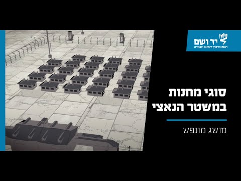 וִידֵאוֹ: לאילו סוגים מחולק הזיכרון