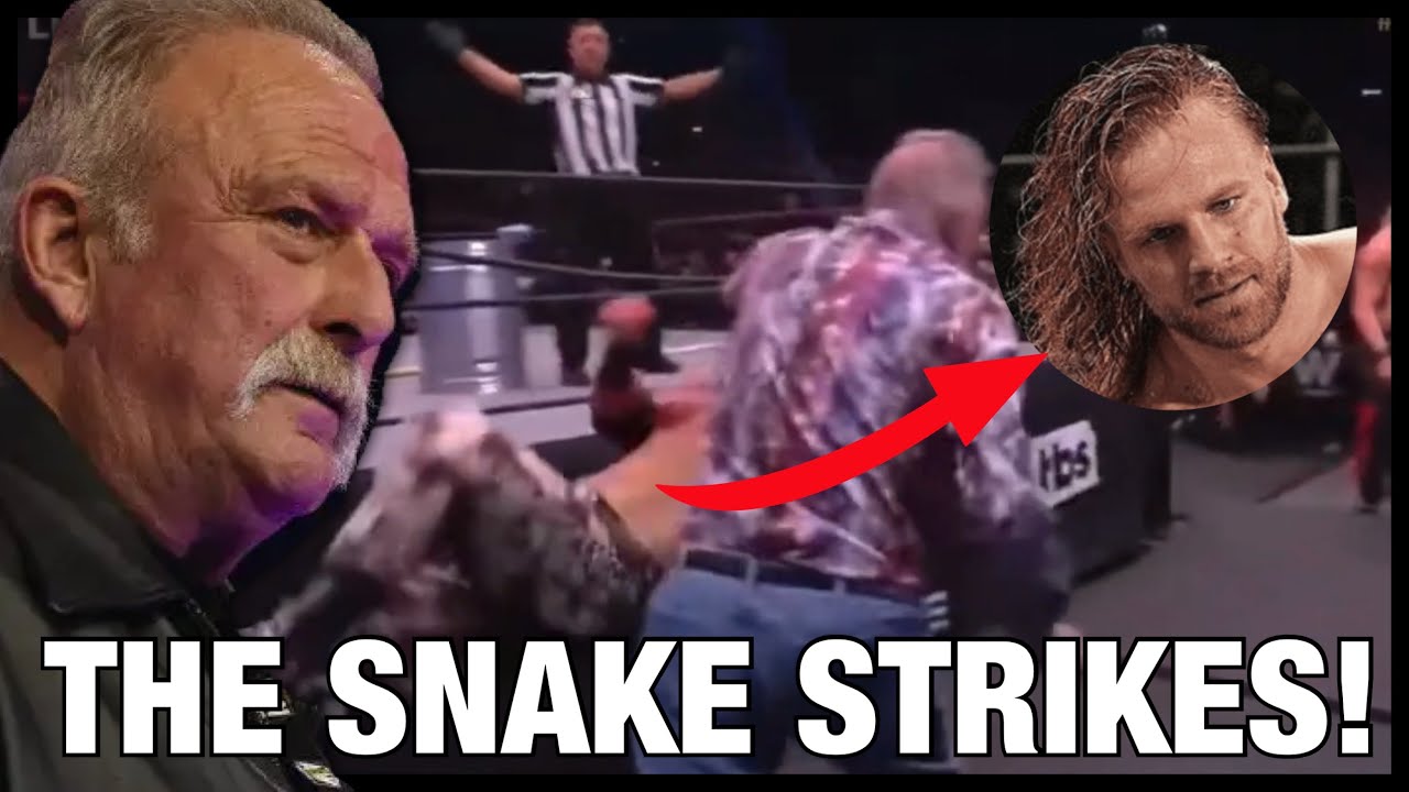 Every time JAKE THE SNAKE got physical in AEW!