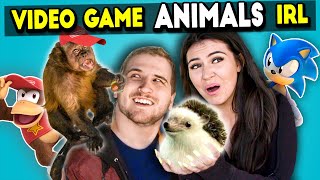 Meeting Video Game Animals In Real Life (React)