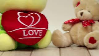 Frog n Teddy Hamper for Valentine's Day screenshot 4