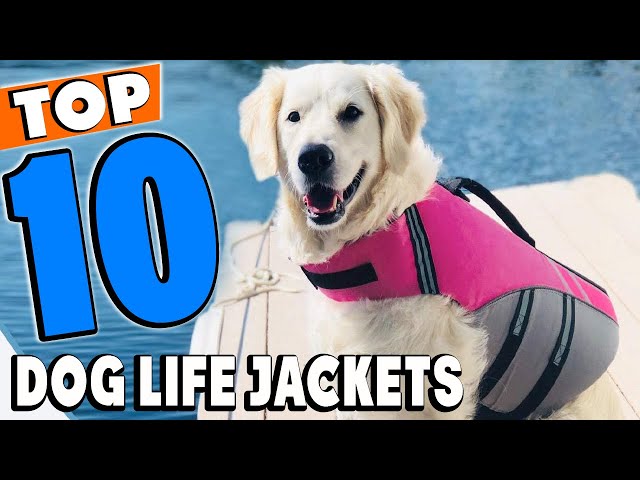 The 12 Best Dog Life Jackets of 2023