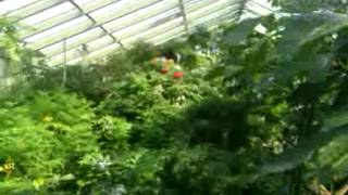 Celebrity Buffalo zoo wife an kids Wealth