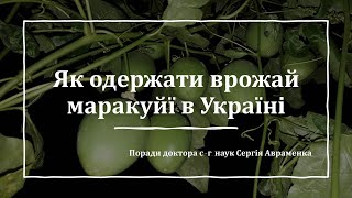 Вирощуємо маракуйю в Україні