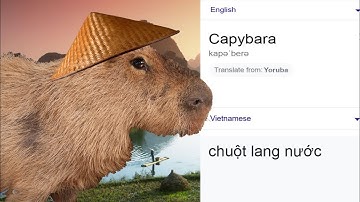 Capybara in different languages meme | Part 2