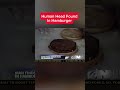 Human Head Found In Hamburger