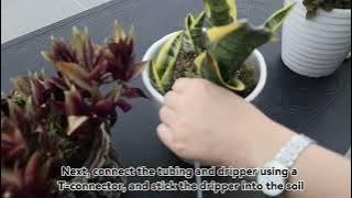 Beday Automatic Watering System Dual Pump for Indoor Plants