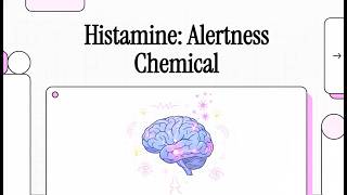 Brain Histamine: Synthesis, Receptors, &amp; Function (Purves' Neuroscience, 6/e; Ch. 6.11)