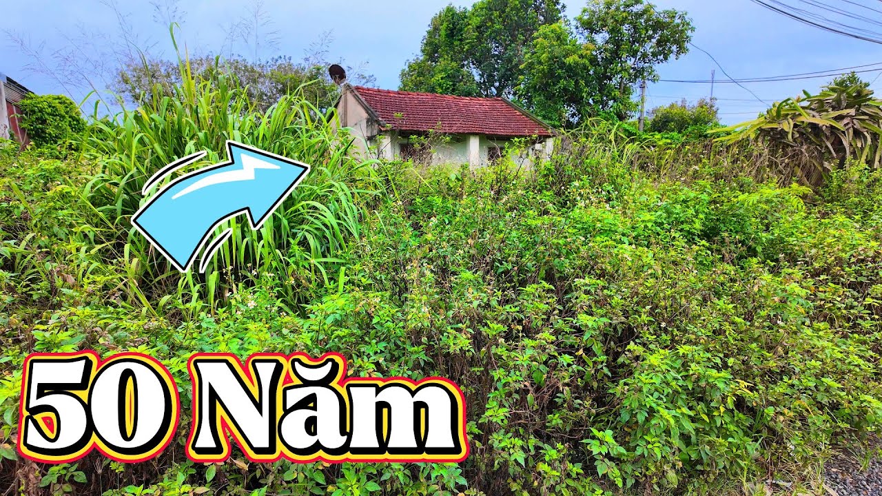 Giúp Bà Cụ 80 Tuổi Dọn Dẹp Miễn Phí Ngôi Nhà Bỏ Hoang Nhiều Năm