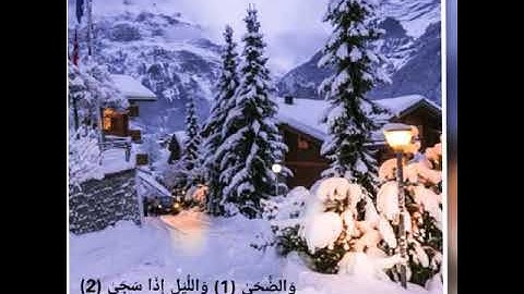 سورة الضحى بصوت رائع (#مولانا كورتش) فيديوهات واتس اب(القرآن الكريم)