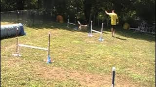 chase  08 07212 cardinal elite reg 2