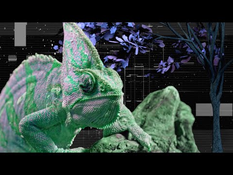 Bassnectar & UFO! - Deep In The Jungle ? [All Colors]