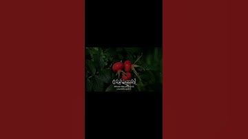 قران الكريم 2025 #المصحف #السعودية #راحة_نفسية #العراق #اكسبلور