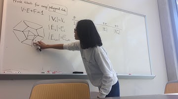 Discrete Differential Geometry