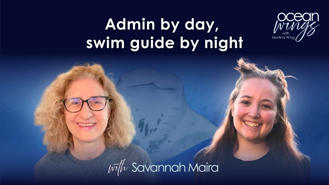From office to ocean: two sides of being a manta ray advocate (with Savannah Maira)