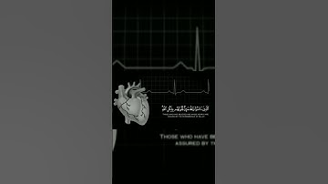 القرآن الكريم 🌼 يشفع لصاحبه يوم القيامه ##
