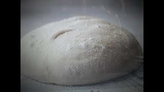 Homemade Pizza Dough