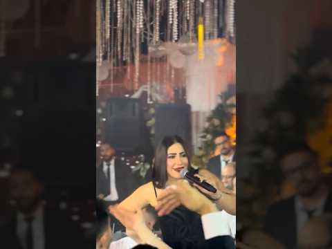 النجمة بوسي انا مين انا بابا