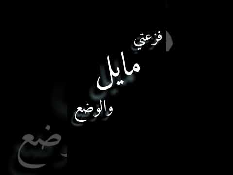 سالم المسعود ودي