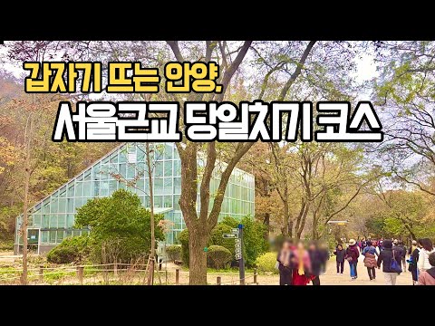 경기도 안양시 가볼만한곳 BEST3 (서울근교 요즘 핫한 여행지)