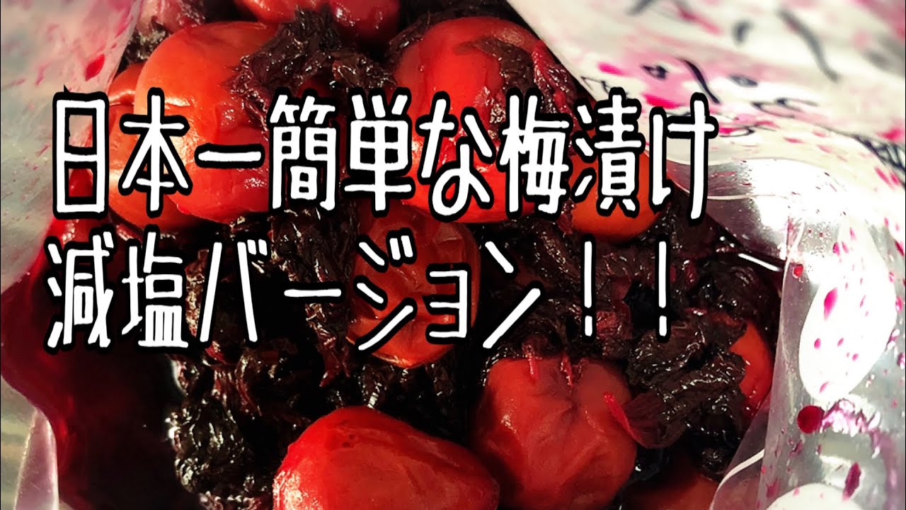 減塩5 絶対カビない梅干し Youtube