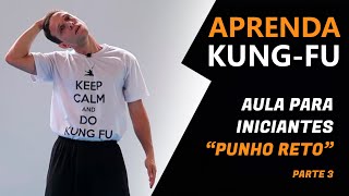 Aula Básica De Kung-Fu Taolu - Quanfa 拳法 Parte 3